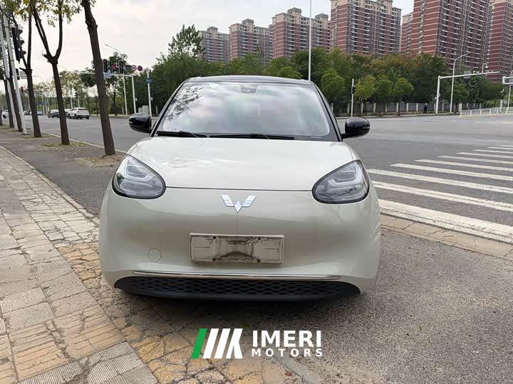 Wuling Binguo 333km Joy Edition - car from China