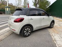 Wuling Binguo 333km Joy Edition - photo 8