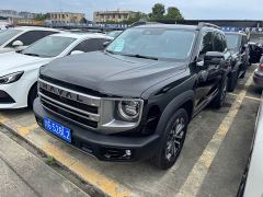 Great Wall Dachshund 1.5T DCT Border Collie Edition - ფოტო 1