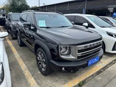 Great Wall Dachshund 1.5T DCT Border Collie Edition - ფოტო 3