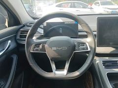 BYD Destroyer 05 Glory Edition DM-i 55KM Luxury - фото 10