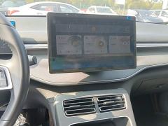 BYD Destroyer 05 Glory Edition DM-i 55KM Luxury - фото 12