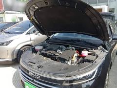 BYD Destroyer 05 Glory Edition DM-i 55KM Luxury - фото 19