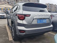 Haval Big Dog PLUS 2.0T AWD Trendy Wilderness Plus - фото 16