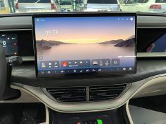 Denza D9 DM-i 980 AWD Luxury - photo 12