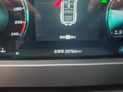 Jetour Jietu Traveler 2.0T AWD Traverse PRO Entertainment Edition - photo 14