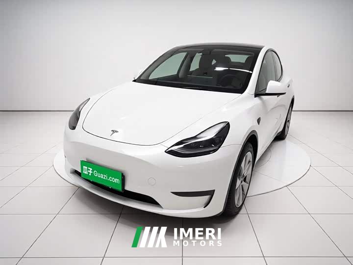 Tesla Model Y Standard Range RWD - ავტომობილი ჩინეთიდან