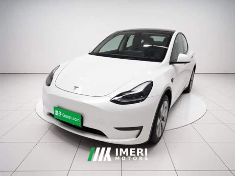 2022 Tesla Model Y Standard Range RWD - ავტომობილი ჩინეთიდან