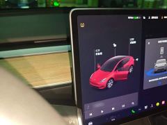 Tesla Model Y Standard Range RWD - ფოტო 3