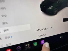 Tesla Model Y Rear-Wheel Drive - ფოტო 9