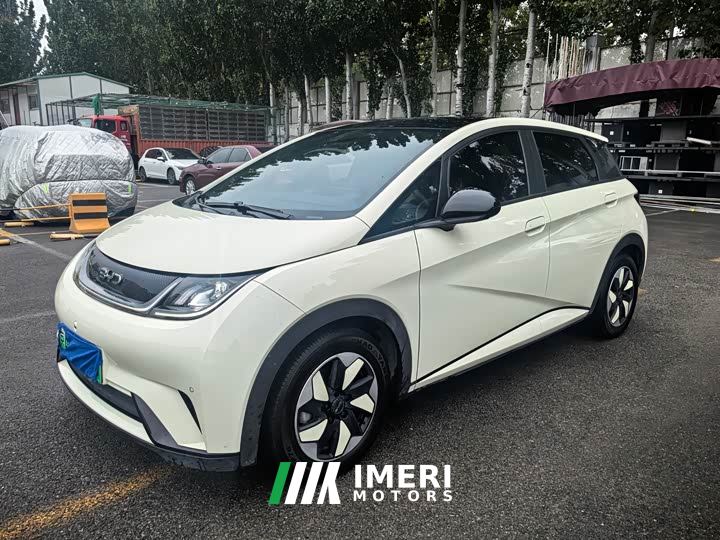 BYD Dolphin Glory Edition 420km Fashion Version - ავტომობილი ჩინეთიდან