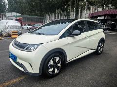BYD Dolphin Glory Edition 420km Fashion Version - ფოტო 1