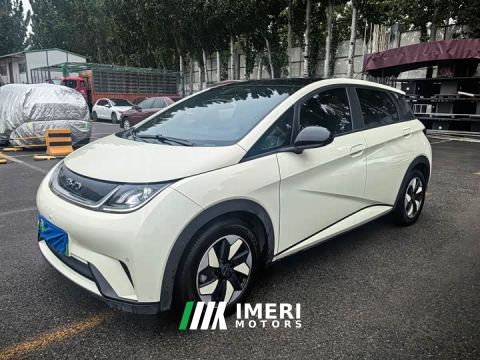 2024 BYD Dolphin Glory Edition 420km Fashion Version - ავტომობილი ჩინეთიდან