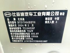 BYD Dolphin Glory Edition 420km Fashion Version - ფოტო 10