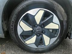 BYD Dolphin Glory Edition 420km Fashion Version - ფოტო 13