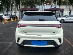 BYD Dolphin Glory Edition 420km Fashion Version - ფოტო 2