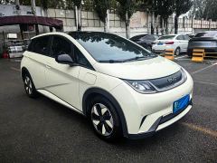BYD Dolphin Glory Edition 420km Fashion Version - ფოტო 5