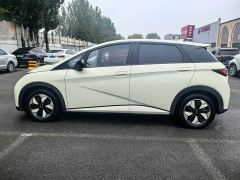 BYD Dolphin Glory Edition 420km Fashion Version - ფოტო 7