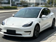Tesla Model 3 Rear-Wheel Drive - photo 1