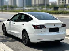 Tesla Model 3 Rear-Wheel Drive - photo 11