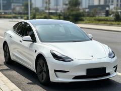Tesla Model 3 Rear-Wheel Drive - photo 3