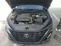 Changan Eado Enjoy Plus Blue Whale NE 1.4T GDI DCT Luxury Edition - photo 19
