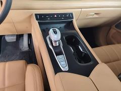 Voyah Dream PHEV Extended Range Luxury Edition - ფოტო 13