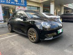 ORA Good Cat 400km Standard Range Athena Edition Ternary Lithium - фото 3