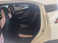 BYD Seagull Smart Driving Edition 305km Freedom Edition - фото 16
