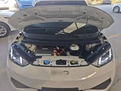 BYD Seagull Smart Driving Edition 305km Freedom Edition - фото 19