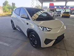 BYD Seagull Smart Driving Edition 305km Freedom Edition - фото 3