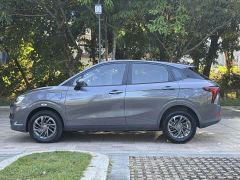 Neta V Standard Range Industry Custom Edition - ფოტო 4