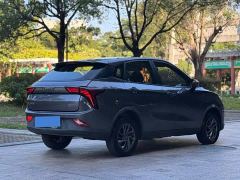 Neta V Standard Range Industry Custom Edition - ფოტო 8