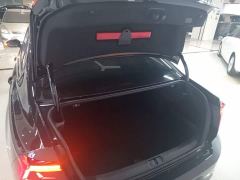 Volkswagen Magotan 330TSI DSG Advance - ფოტო 18