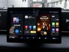 BYD Qin L DM-i 80KM Elite - ფოტო 13