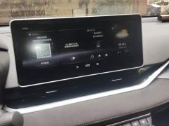 Geely Xingrui 2.0T Diesel Spacetime Edition Bright Moon - фото 13