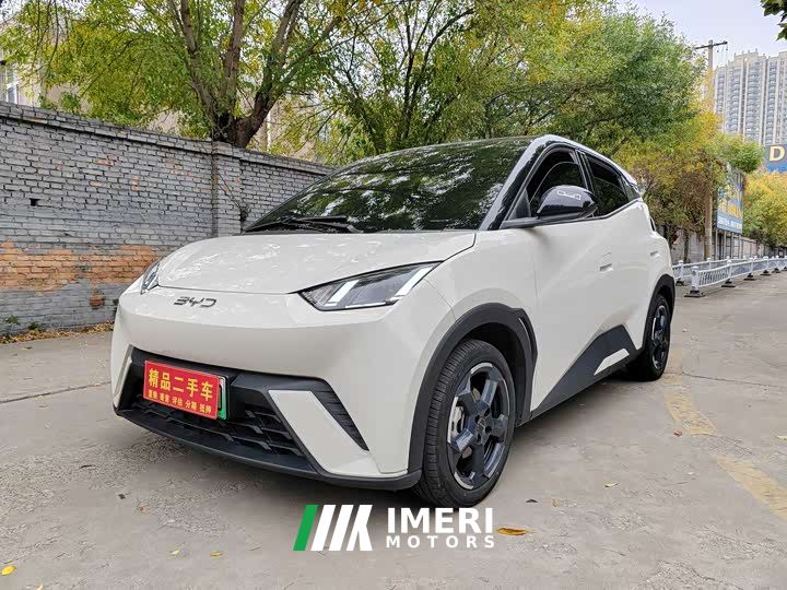 BYD Seagull Glory Edition 305km Freedom Version - ავტომობილი ჩინეთიდან