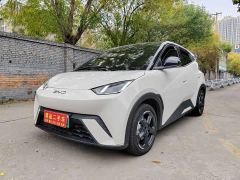 BYD Seagull Glory Edition 305km Freedom Version - ფოტო 1