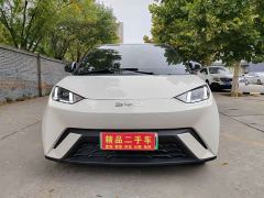 BYD Seagull Glory Edition 305km Freedom Version - ფოტო 2