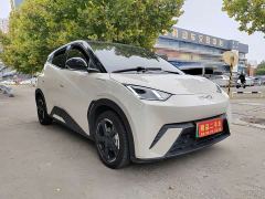 BYD Seagull Glory Edition 305km Freedom Version - ფოტო 3
