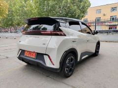 BYD Seagull Glory Edition 305km Freedom Version - ფოტო 4