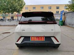 BYD Seagull Glory Edition 305km Freedom Version - ფოტო 5