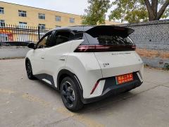 BYD Seagull Glory Edition 305km Freedom Version - ფოტო 6