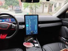 Ford Mustang Mach-E Boundless RWD Luxury Long Range - ფოტო 10