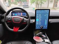 Ford Mustang Mach-E Boundless RWD Luxury Long Range - ფოტო 11