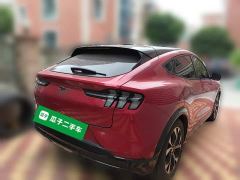 Ford Mustang Mach-E Boundless RWD Luxury Long Range - ფოტო 6