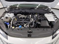 Changan Eado Blue Whale 1.5T 500Bar Luxury - ფოტო 10