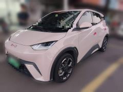 BYD Seagull 305km Freedom Edition - ფოტო 1