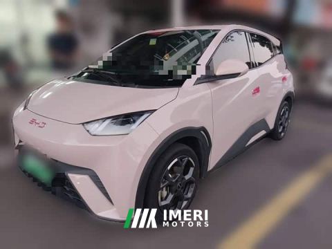2024 BYD Seagull 305km Freedom Edition - ავტომობილი ჩინეთიდან