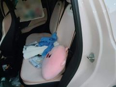 BYD Seagull 305km Freedom Edition - ფოტო 13